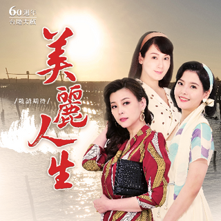 美丽人生台版第200集