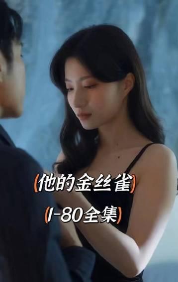 他的金丝雀第01集