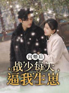 闪婚后战少每天逼我生崽第03集