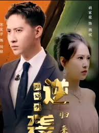 逆袭刘公子归来第01集